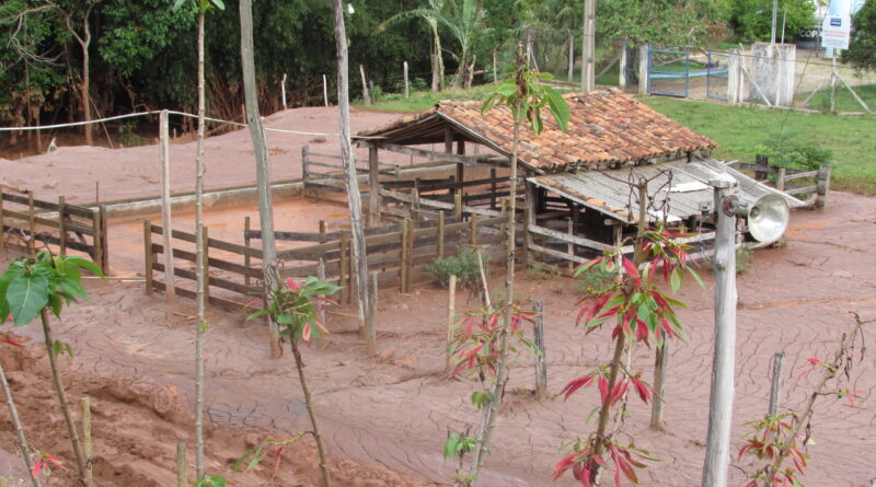 propriedade rural afetada MG, Programa de Recuperação