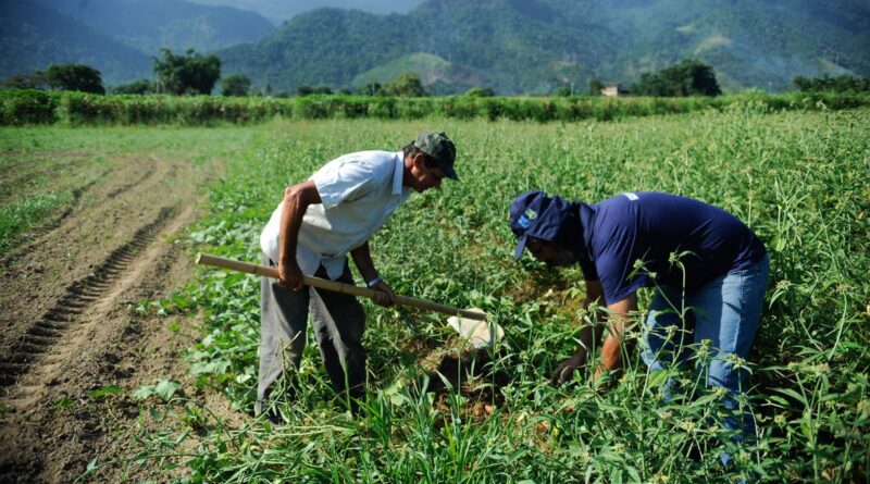 agricultura familiar no brasil agricultores projeto