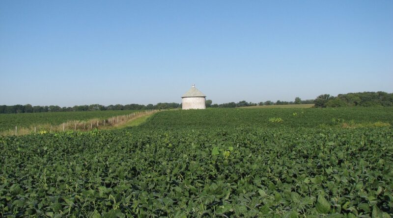 Imagem de Vilmos Branyik por Pixabay