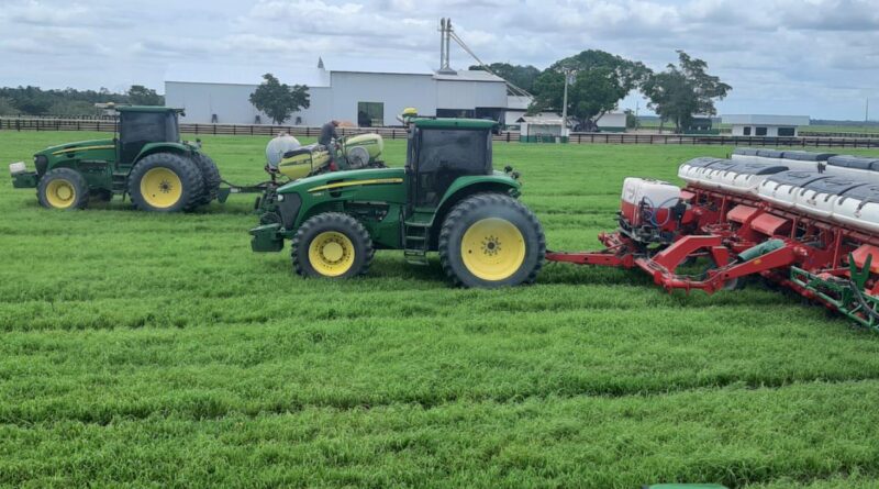 Plantio da Soja - Foto Alcione Nicoletti