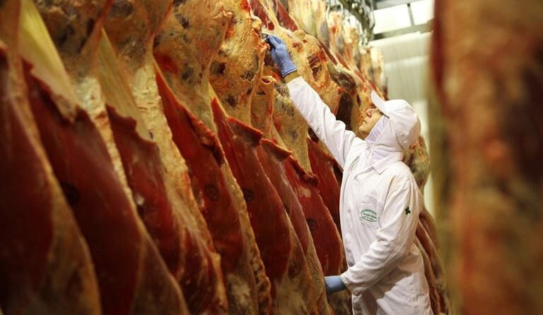 abate, carne bovina, frigoríficos, carnes - abates