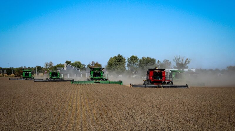 Imagem de hannahlmyers por Pixabay