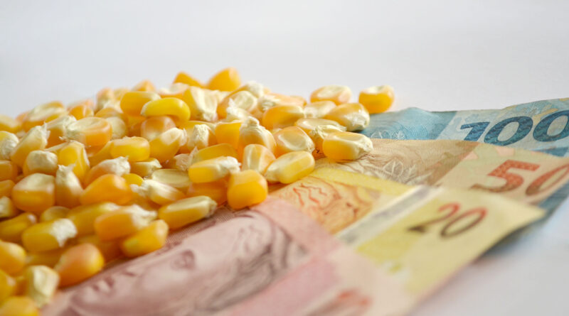 preços, crédito rural, milho