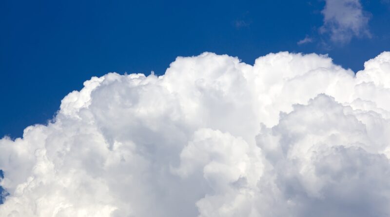 Soja: entre umidade do solo e chuvas volumosas; saiba o que esperar do tempo