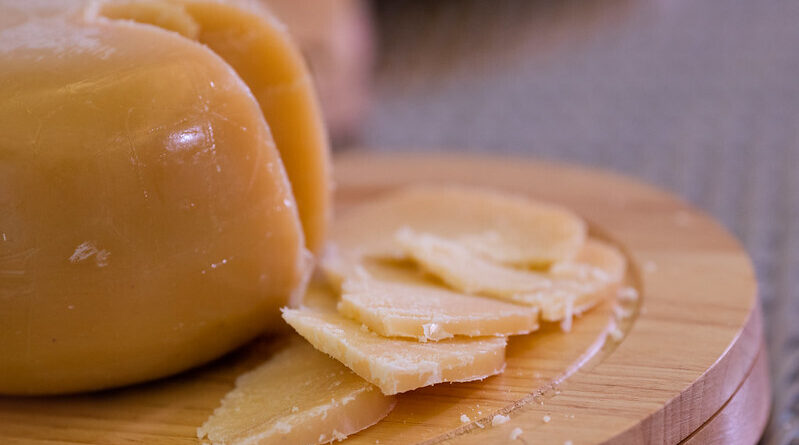 Reforma tributária - melhores queijos artesanais do brasil - cna