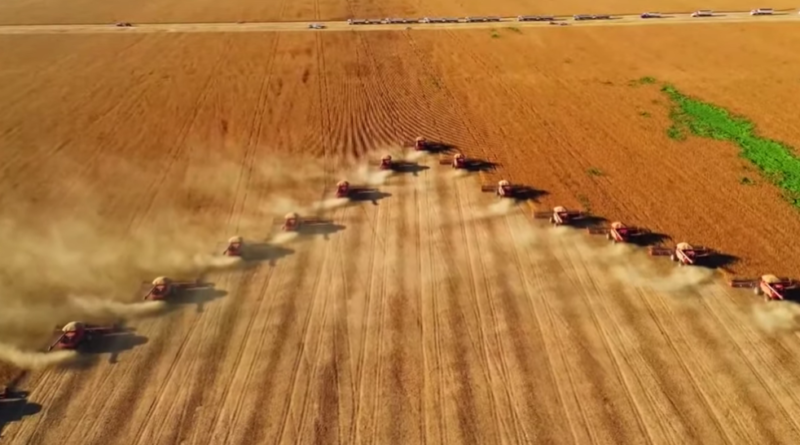 Foto: Canal Rural/Reprodução