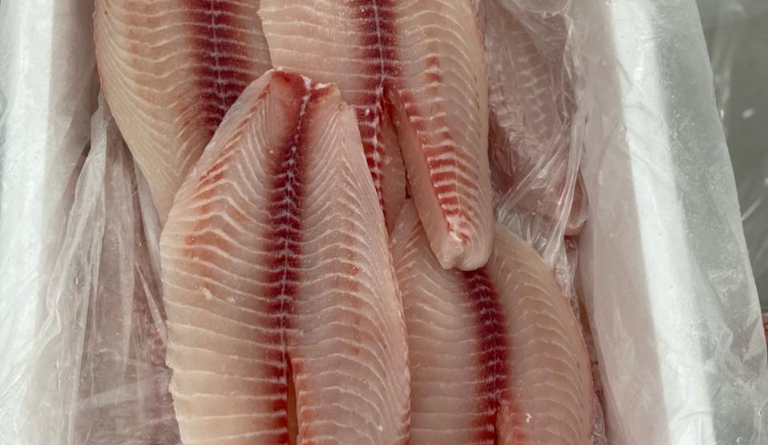 peixe Brasil para Estados Unidos