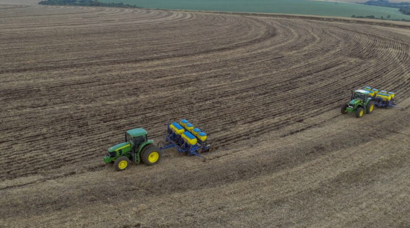 plantio de milho safrinha no Paraná