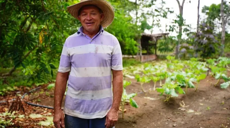 Produtor rural de chapéu em frente à plantação