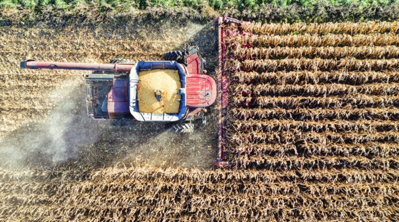 pib do agronegócio baiano;