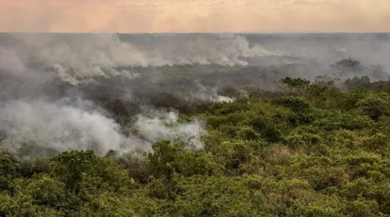 incêndio no Pantanal