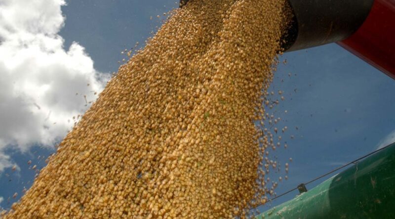 colheitadeira despejando soja