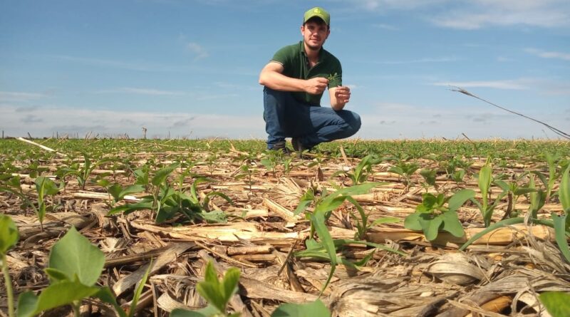 Foto: Pedro Silvestre