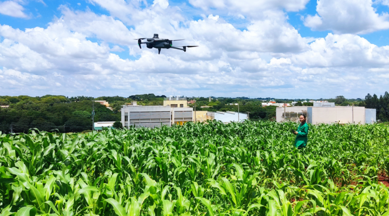 drone em pesquisa sobre milho