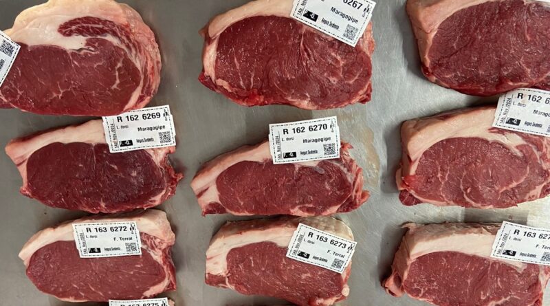 Amostras de carne que serão analisadas na Embrapa Pecuária Sul