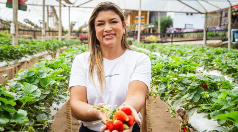 Mulher com morangos nas mãos e a plantação no fundo