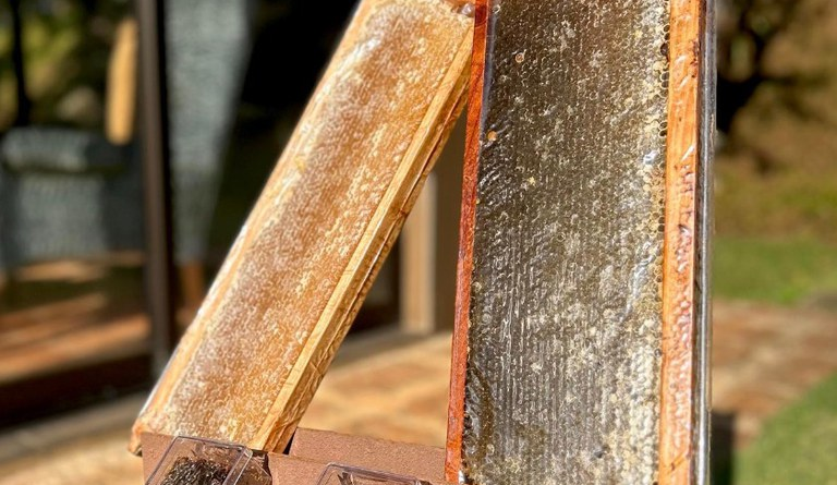 mel produzido em Atibaia (SP)