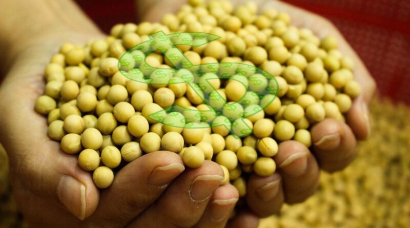 reforma tributária soja dinheiro Plano Safra