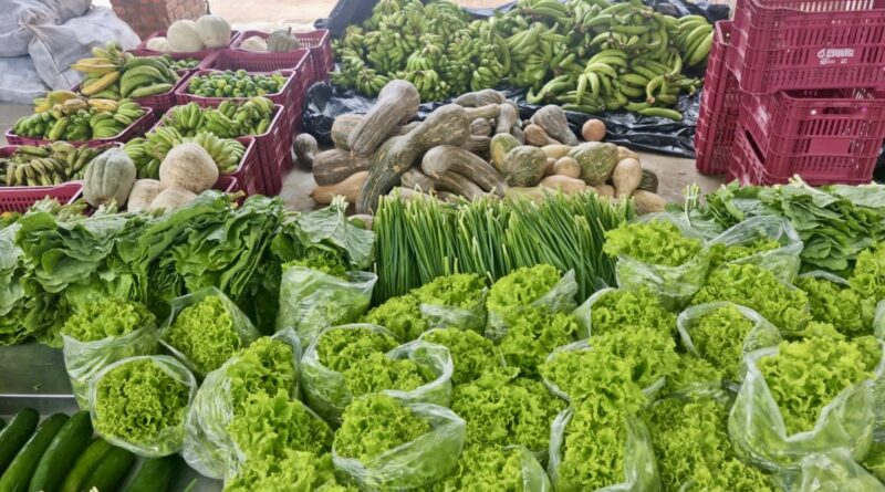 Refeições - alimentos