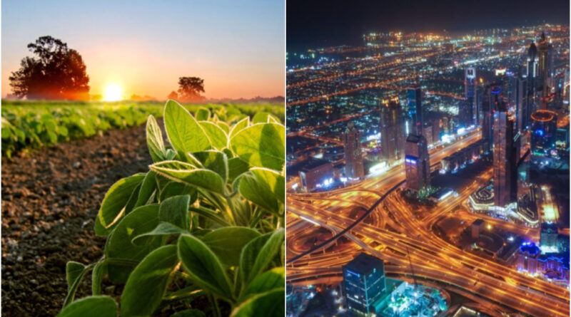 campo cidade posse prefeitos vereadores