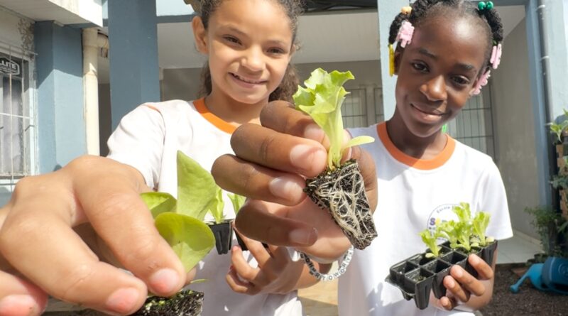 Alunas com mudas de alface