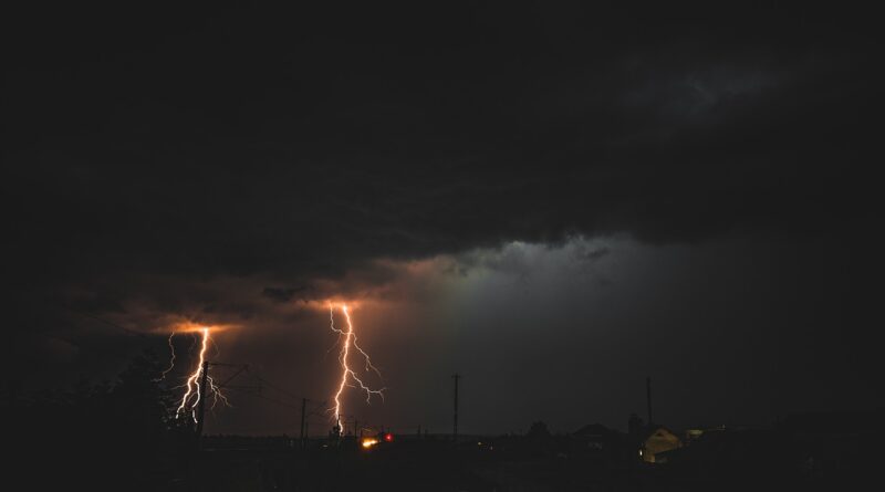 Imagem de István Bogdan por Pixabay