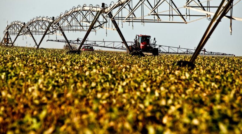 ranking das 100 cidades mais ricas do agro no Brasil em 2022, Economist, agronegócio