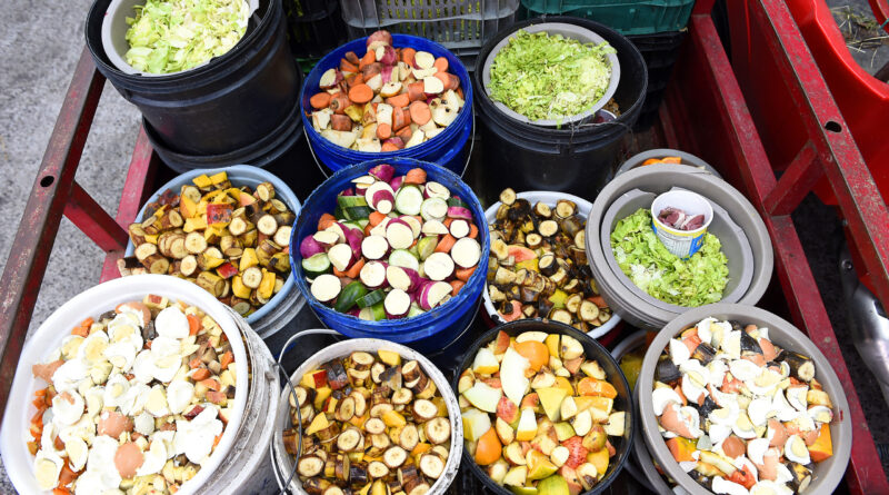 alimentos da Ceasa-PR para animais silvestres