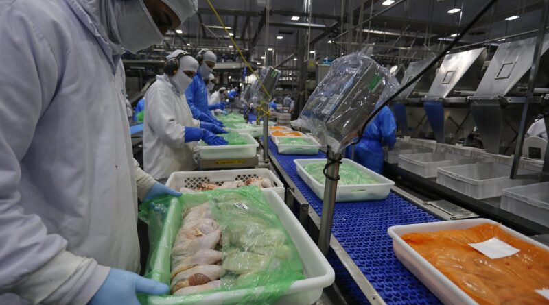 produção de carne de frango - jonathan campos - aen