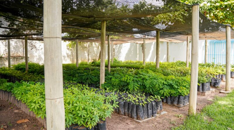 Foto: Divulgação/ Prefeitura Municipal de Luís Eduardo Magalhães