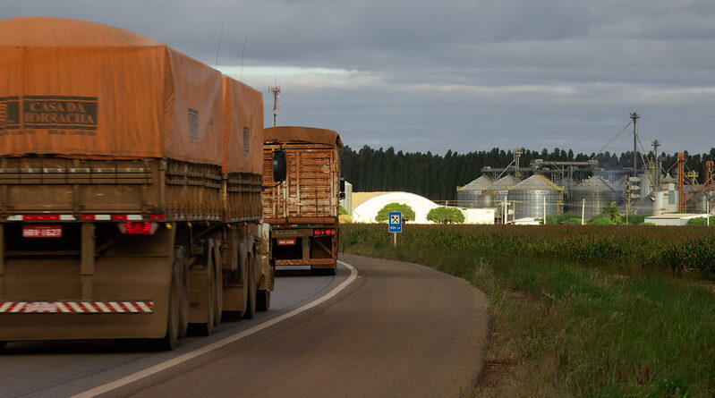 caminhão em estrada fazendo transporte de grãos para silo ou armazém de cooperativa