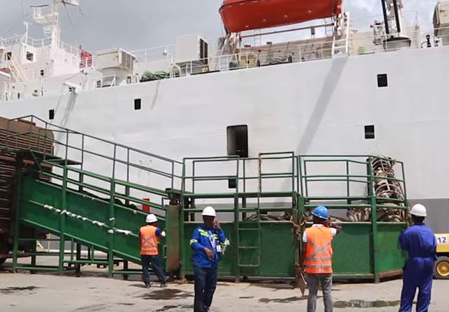 embarque de gado vivo