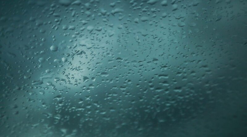 Imagem de Tracy Lundgren por Pixabay