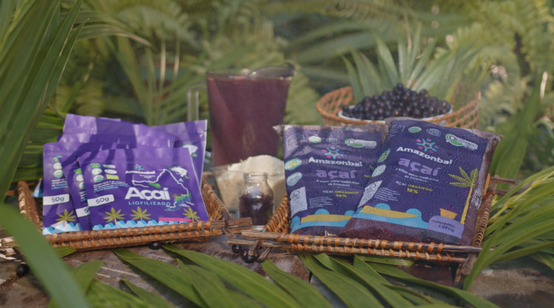 Amazonbai exportação de açaí em pó