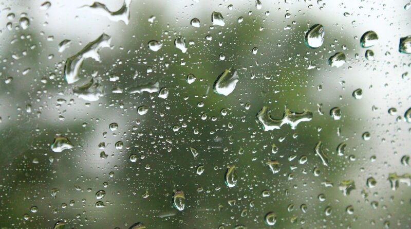 Imagem de Denys Vitali por Pixabay