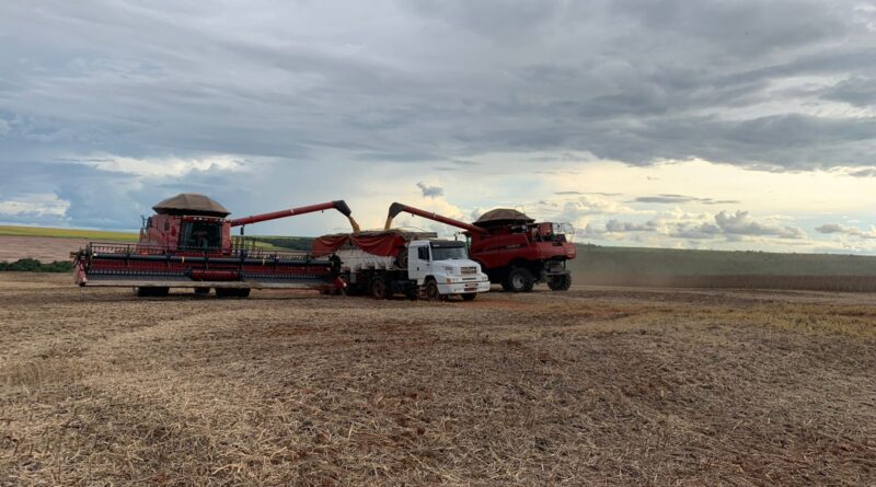 Colheita Soja Fazenda Aymoré