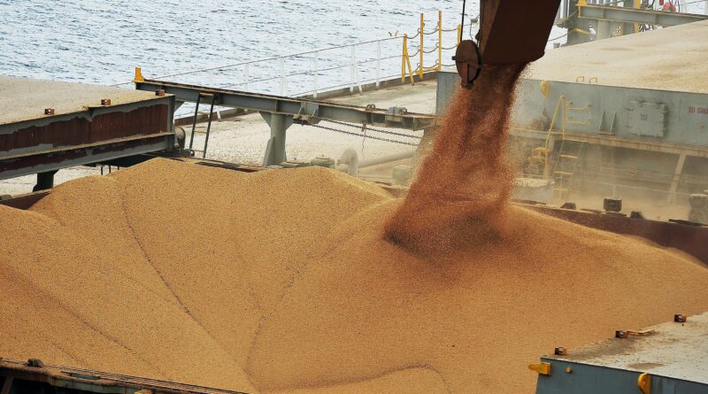 soja, porto, exportação, prêmios,embarque, Brasil