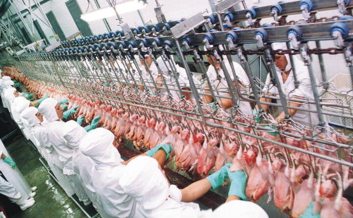 carne de frango, abpa, desoneração da folha