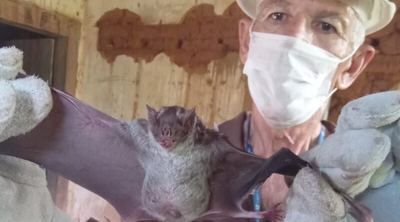 morcego, transmissor da raiva, adab