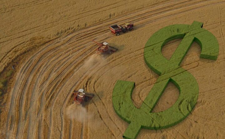 crédito rural, preços, pib, commodities, crescimento no PIB, dinheiro, desenvolvimento, mercado brasileiro, plano safra, crédito rural, PIB do agronegócio, plano safra, moderfrota, fiagro