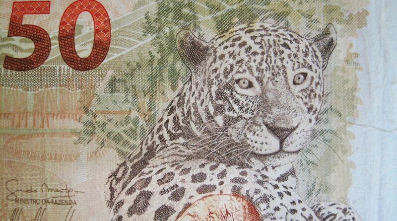 Imagem de ASSY por Pixabay