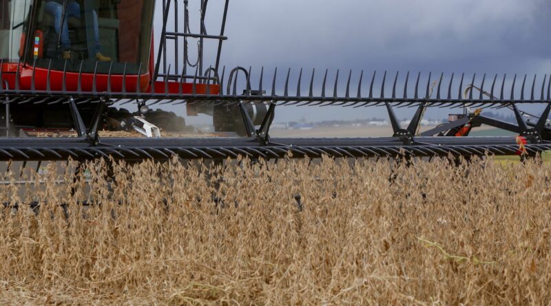 Safra da soja - Foto: Gilson Abreu/AEN