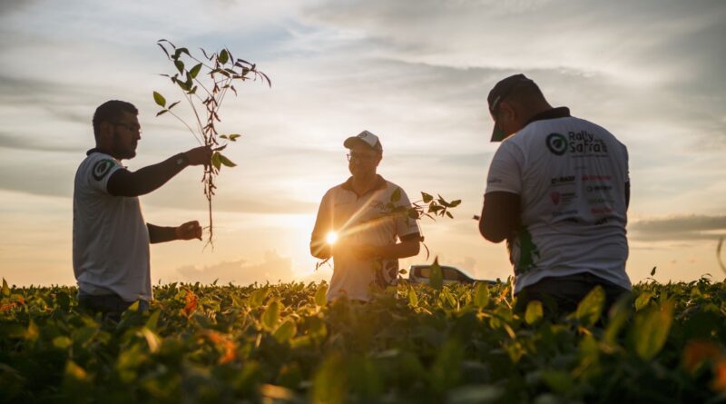 Rally da Safra - estimativas para a safra 24/25 de soja