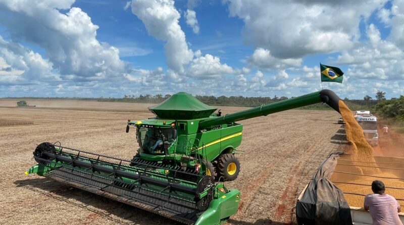 Fazenda Brasnorte - Colheita de soja