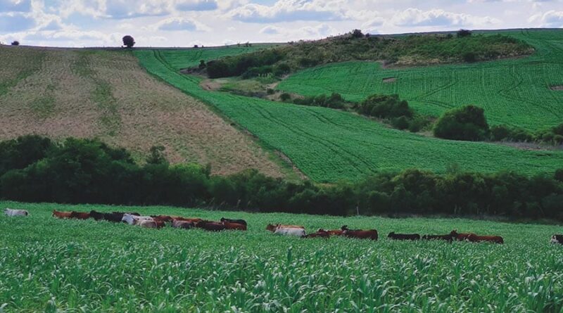 Inadimplência, produtor rural, Serasa