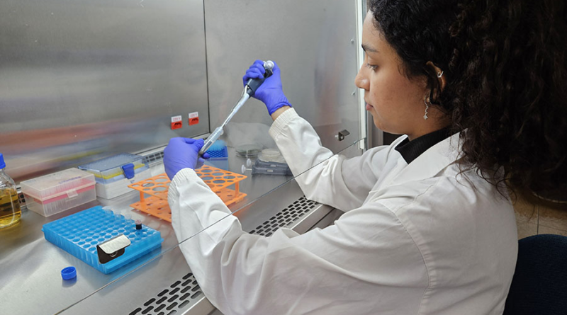 edição gênica de fungo para bioinsumos feita em laboratório da Embrapa