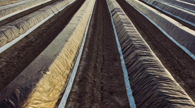 plástico na agricultura