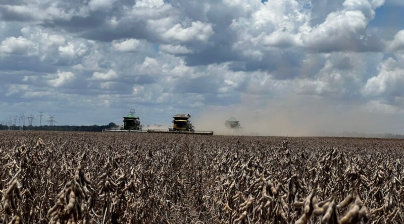 Foto: Matheus Martins