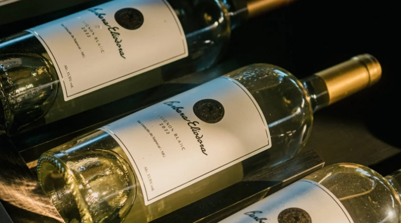 Sul de Minas entra no mapa dos grandes vinhos brasileiros