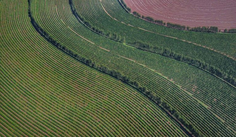projeto aprova acordo sobre mercado internacional